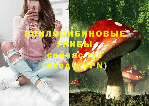 ГАЛЛЮЦИНОГЕННЫЕ ГРИБЫ Белоозёрский
