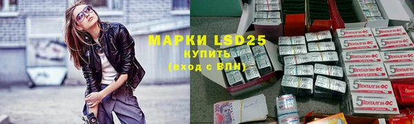 ГАЛЛЮЦИНОГЕННЫЕ ГРИБЫ Белоозёрский