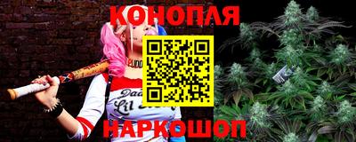 кокс Гатчина
