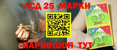 ешки Гай