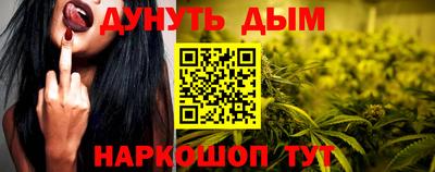 кокс Гатчина