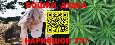 ешки Гай