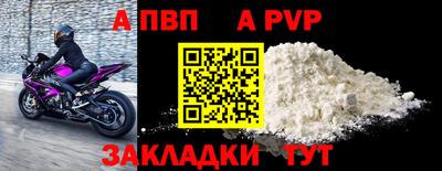 ешки Гай
