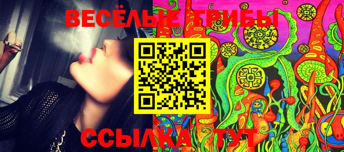 Псилоцибиновые грибы Psilocybine cubensis  Вход с VPN  Горно-Алтайск  Галлюциногенные грибы GOLDEN TEACHER 