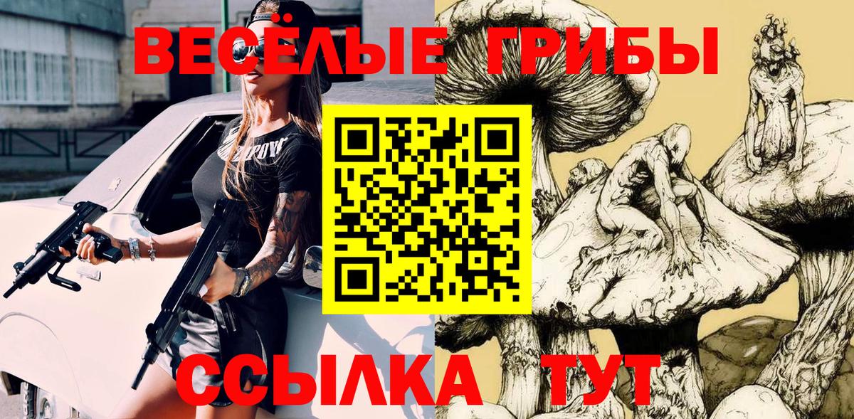Галлюциногенные грибы MAGIC MUSHROOMS  Горно-Алтайск 