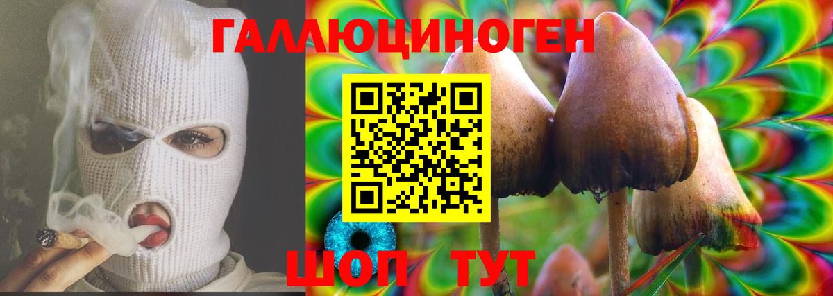 Галлюциногенные грибы прущие грибы Горно-Алтайск