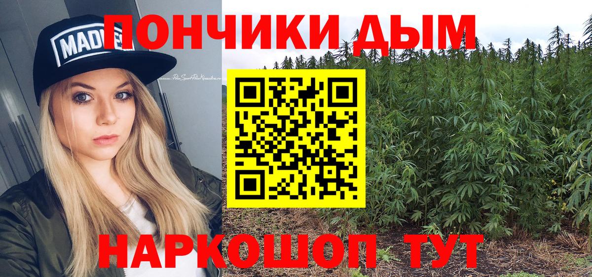 Канабис план  Бошки Шишки план  Горно-Алтайск  Марихуана конопля 